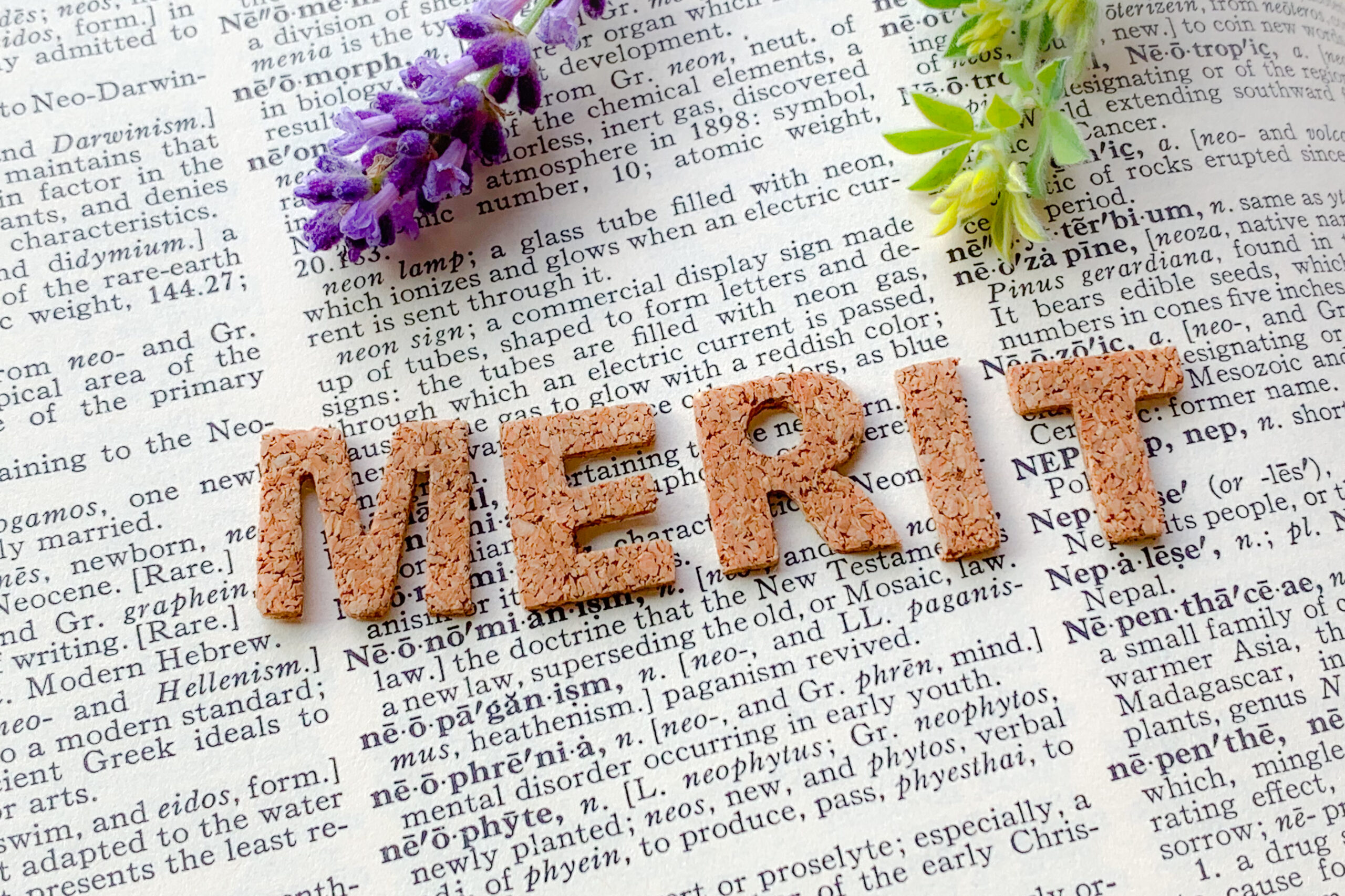 merit