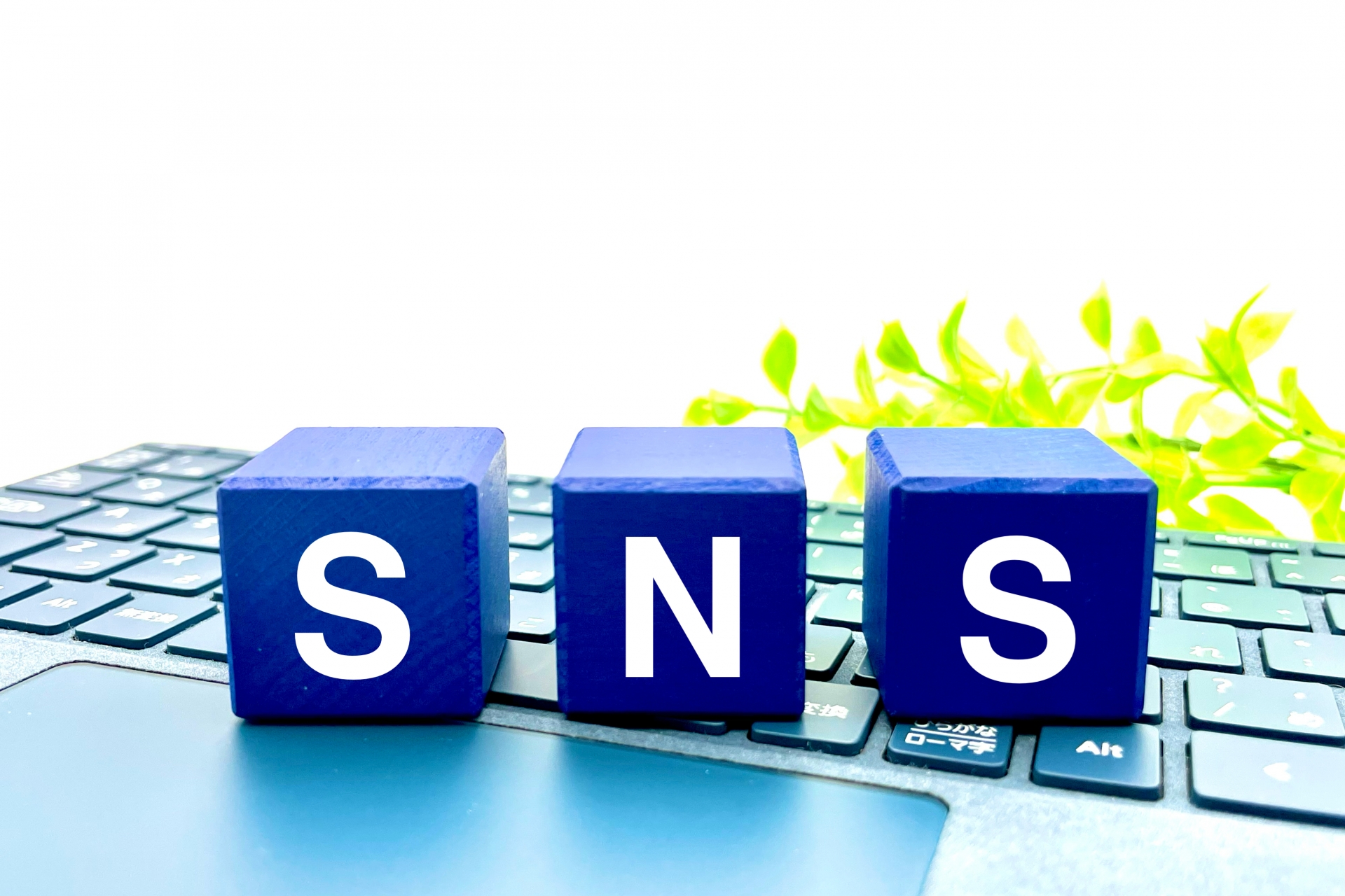 SNS