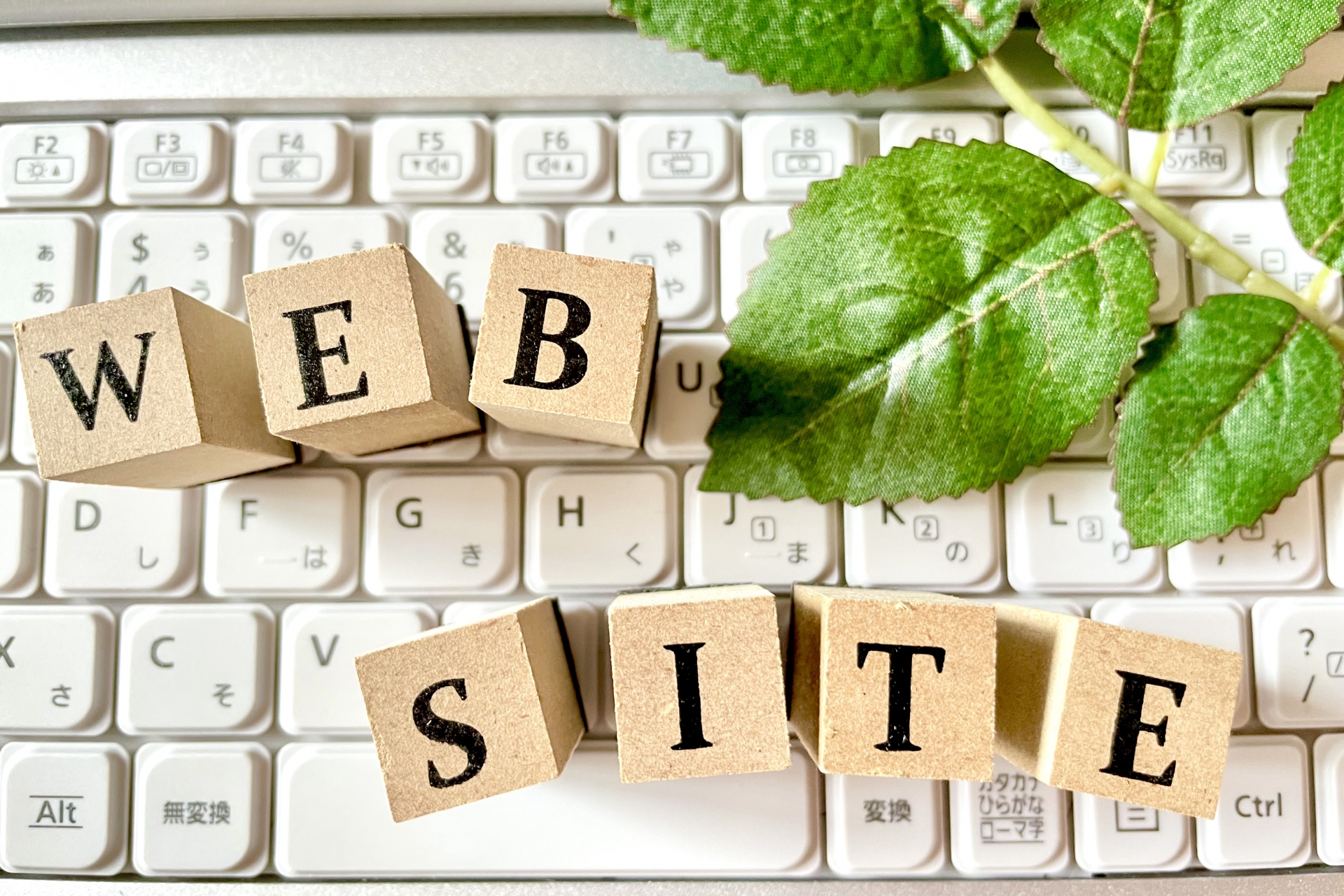 ウェブサイト