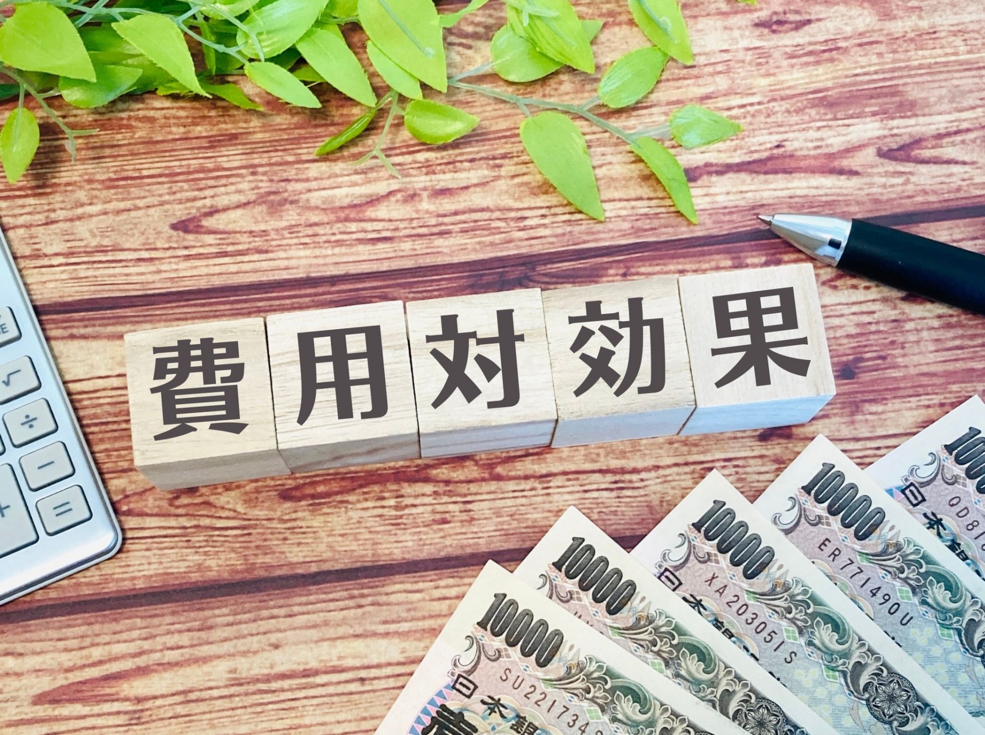 費用対効果を検証