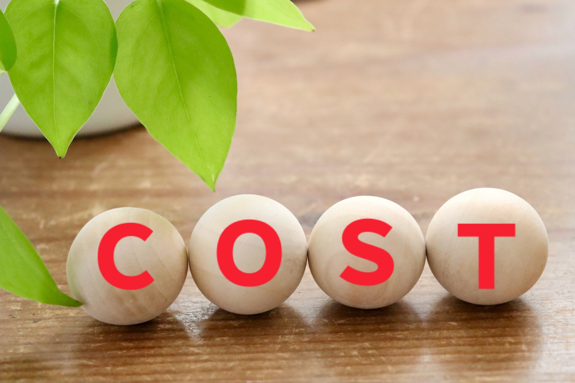 木のボール　COSTイメージ