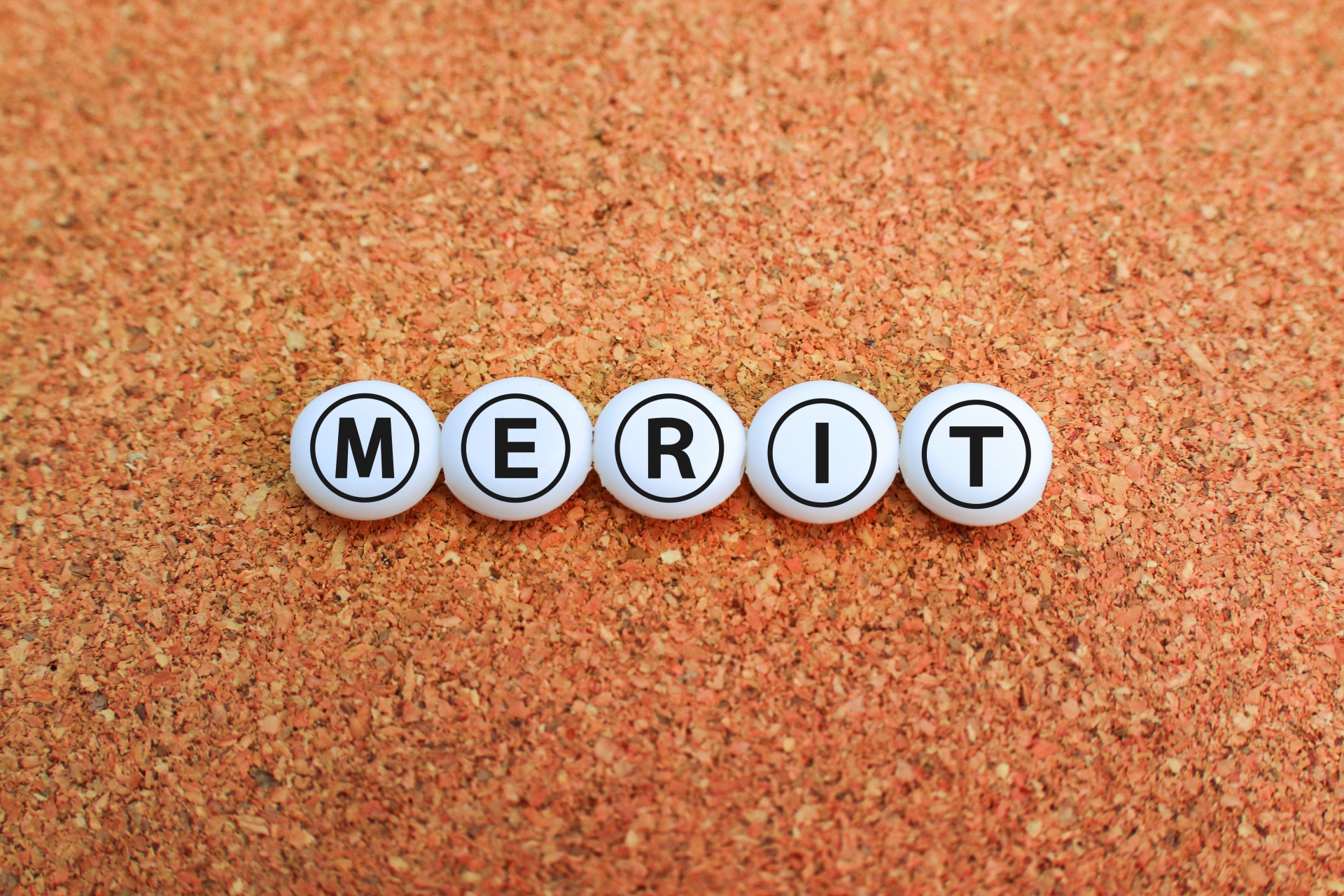 メリット　MERIT