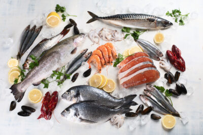 【政治的報復！？】水産物関連動画事例集